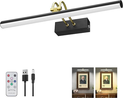 Picture Light,Picture Lights for Wall Cordless,16" Picture Lights with Timer and Dimmable,Battery Wall Lights for Display Gallery Painting Art Frame Portrait-BK+GD
