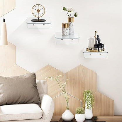 16 Pack Acrylic Small Shelf, Mini Floating Wall Shelf, Wall-Mounted Storage Shelves, for Pop Figures,Plant, Picture Photo Modern Wall for Office Bedroom Living Room, Clear