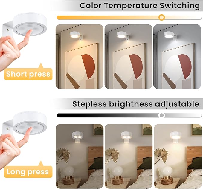 2-Pack Picture Light Battery Operated, LED Painting Lights with Remote, Dimmable and Timer Painting Light, Art Display Light for Picture Frame Artworking Portrait, Home Wall Decor wall lights, White