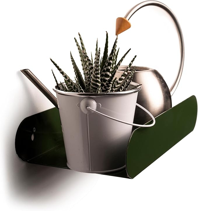 EWART WOODS Floating Wall Shelf Metal Shelves Wall Mounted Geometric Modern Hanging Capsule (Black)