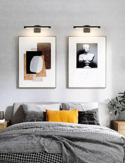 Joosenhouse LED Picture Light Fixtures 16.53" Inches Long Modern Black Wall Lamps with Rotatable Lighting Tube Picture Frame Lights for Paintings 7W(50W Eqv.) Hardwired Connection 3000K