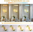 Battery Operated Wall Sconce, 2-Lights Vinatge Brass Wall Lighting Up and Down with Green Tulip Shade for Living Room, Bedroom