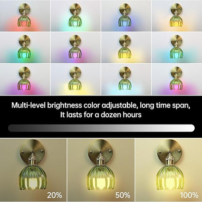 GEEZO Vintage Battery Operated Wall Sconce, with Rechargeable Battery Powered Wall Light with Remote Control for Bedside Bedroom