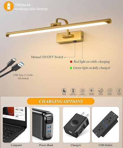 Picture Lights for Wall Battery Operated, Rechargeable Light for Pictures with Remote & Timer, Gold Art Light for Paintings 24 Inch Wireless Dimmable Cordless Gallery Frame Lights with 3CCT