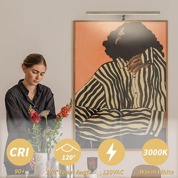 LED Picture Lights for Paintings Plug in, 16 Inch 4W Adjustable Art Light Gallery Wall Light for Display Art Work, Antique Brass Finish, CRI90+, 3000K Warm White