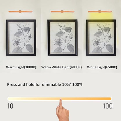 LED Picture Lights with Remote, Rechargeable Battery, Dimmable/Timer Off Dartboard Light, 16 Inch Full Metal Art Display Light with 50LEDs for Picture Artwork Gallery