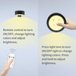 3PACK Picture Light Battery Operated with Remote, Painting Light for Wall Art with 3 Lighting Colors Dimmable, LED Art Display Accent Light on Wall for Poster Dartboard Frame Portrait Black