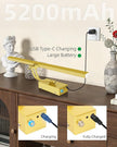 4Pack Rechargeable Picture Light, 5200mAh Brass Battery Operated Picture Lights for Wall with Remote Control, 300LM 3000K Warm White Light 16