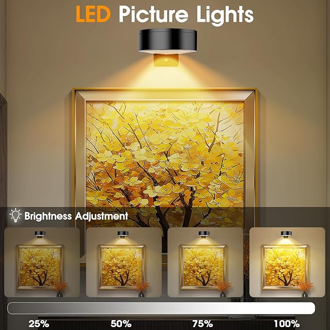 13 RGB Color Changing Led Art Display Light for Picture Frame,Rechargeable Battery Operated Led Painting Light with Remote Control Dimmable & Timer,6Pack Black