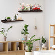 Suzile 2 Pcs Scalloped Shelves Wall Floating Shelves Set for Room, Bathroom, Bedroom, Cute Room Decor Aesthetic and Books, Toys, Photo Frames Storage(23