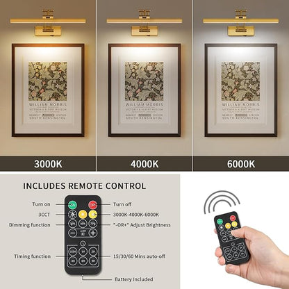 Rechargeable Lights for Pictures on wall Battery Operated Brass 15.7 Inch Wall Lights with Swing Arm and Timer Function Cordless Art Light with Remote Timer for Paintings,Gallery