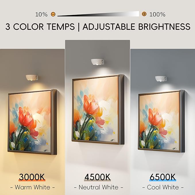 Rechargeable Picture Lights for Wall, 3 Pack Magnetic Picture Lights with Remote, 3 Color Temps & 12 RGB, Dimmable Timer LED Picture Frame Light for Artwork, Portraits, Posters, and Display Decoration