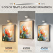 Rechargeable Picture Lights for Wall, 3 Pack Magnetic Picture Lights with Remote, 3 Color Temps & 12 RGB, Dimmable Timer LED Picture Frame Light for Artwork, Portraits, Posters, and Display Decoration