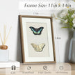 InSimSea Framed Canvas Wall Art, Retro Butterfly Floral Art Prints, Rustic Neutral Decor for Living Room Bedroom Dorm Hallway Bathroom, Vintage Farmhouse Cottage Decor Aesthetic, 11x14 Inch