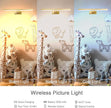 Picture Light, 16 inches Art Light, Picture Light Battery Operated,3CCT Picture Lights for Wall,Battery Operated Wall Lights,Gallery Light for Wall,Photo,Library (Plating Brass Gold)
