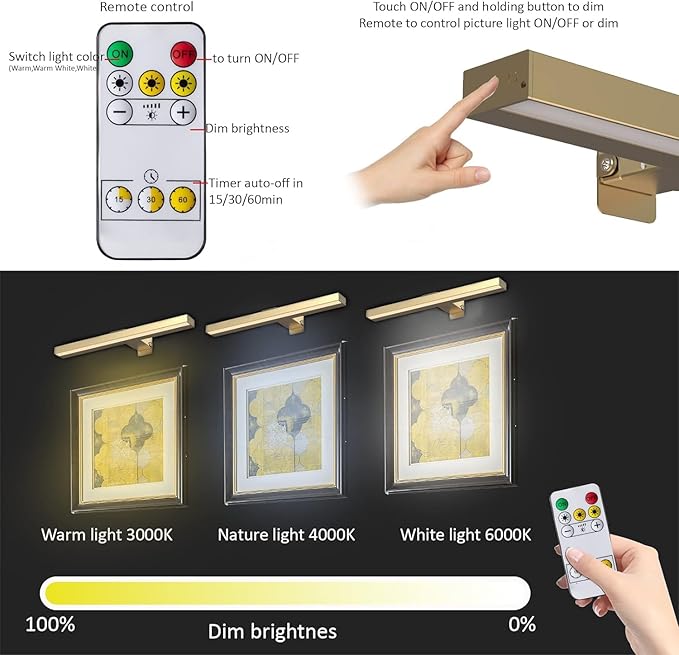 MIOBLUE Rechargeable Picture Lights with Remote, 16