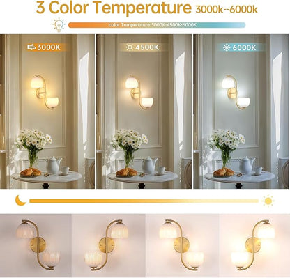 Battery Operated Wall Sconce, 2-Lights Vinatge Brass Wall Lighting Up and Down with White Tulip Shade for Living Room, Bedroom, Symmetrical 2 Pack