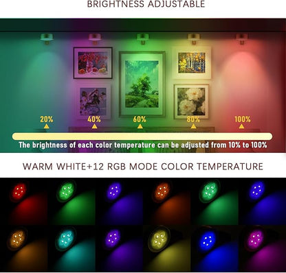 4 Pack Gold Picture Lights for Wall Battery Operated, 12 RGB Color Changing LED Wall Art Light, Magnetic Painting Light with Remote Control, Gallery Lights Photo Sconce for Art Display Frame