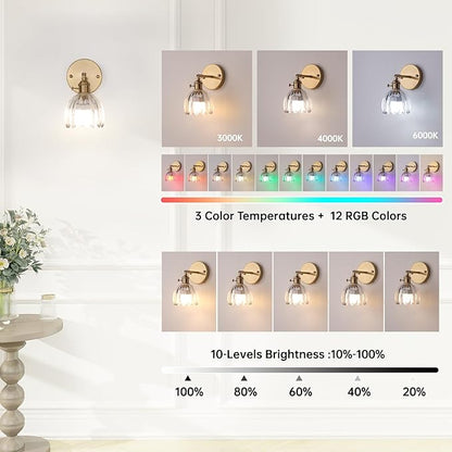 Vintage Battery Operated Wall Sconce with Transparent Tulip Glass Lampshade Rechargeable Battery Powered Wall Light with Remote Control for Bedside Bedroom Doorway