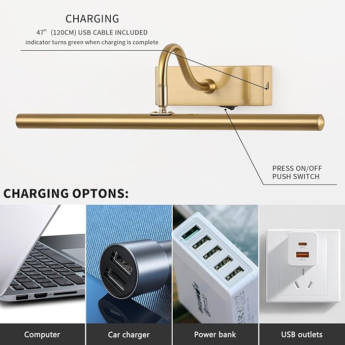 Picture Light for Wall, 5000mAh Rechargeable Wireless Remote Lights, Dimmable Gold LED Art Painting Light with 3 Color Temps, Display for Gallery, Living Room, Bedroom, Hallway (16-Inch)