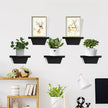 PHOENANCEE Small Floating Shelves,Speaker Shelf,Trapezoid Wall Shelf for Table Lamp Plants Display,Decorative Wood Ledges Chic for Living Room,Bedroom,Kitchen,Office,Pine,8x6 Inch,2 Pack(Black)
