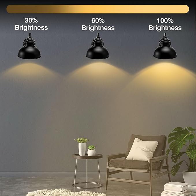 Wall Sconces Battery Operated – Rechargeable Wall Lights with Remote Control Dimmable Auto Timer–13 Colorfuls Changeable to Elegant Touch Wall Lamp for Bedrooms Living Rooms Game Rooms Hallways