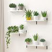 Marsmiles Extra Wide Floating Shelves for Wall, 24x8 Inch Natural Wood Grain Bookshelves, Heavy Duty Mounted Shelving for Bathroom, Kitchen, Living Room, Bedroom,Set of 2，White