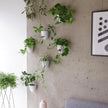 Make Good PlantPod Luxe Self-Watering Wall Planters (Set of 3) - Easy to Water and Install - Lightweight - Design Your Own Vertical Garden - Wall Planters for Indoor Plants