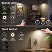 3PCS Picture Lights, Rechargeable Battery Wall Light for Paintings, 3 Colors Paintings Light Dimmable and Timer Metal Art Light for Display, Wall, Artwork, Gallery (Black)
