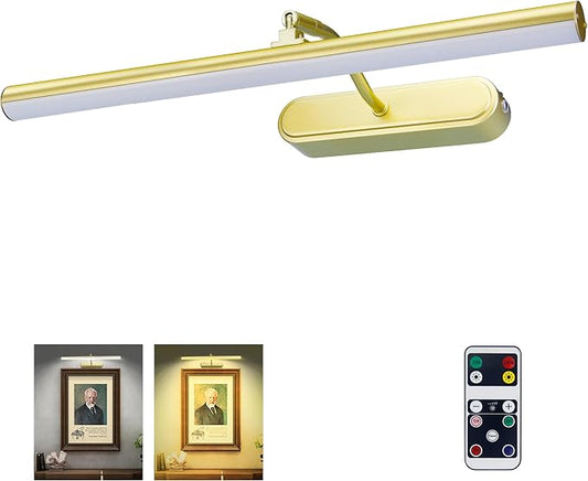 Picture Light,3AA Battery Wall Lights,Wireless Art Lights for Paintings,Remote Control Accent Light with Timer and Dimmable for Frame,Portrait,Mirror-GD