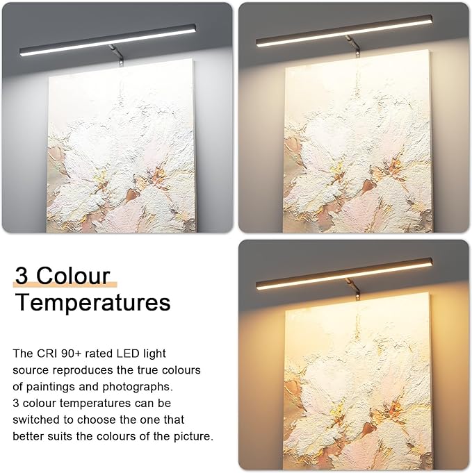 24" Plug in Picture Light for Paintings with Remote Control, 9W LED Art Display Lighting for Gallery, Dartboard, Artwork, Black Wall Mounted Picture Frame Light