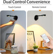 2200mAh Motion Sensor Picture Spotlight Painting Light, LED Wall Sconce, Night Light Lamp, Rechargeable Battery Operated 3 Color & Dimmable Magnetic 360° Rotation with Remote (Black, 1 Pcs)