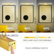 FUNCHDAY Picture Light,Battery Art Lights for Wall,Wireless Remote Painting Light with Timer and Dimmable,13”Metal Display Lighting for Artwork,Portrait,Gallery(Brass)