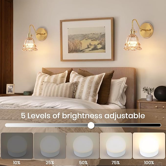 Vintage Battery Operated Wall Sconce, Rechargeable Wireless Wall Sconces with Remote Control, Indoor Wall Light Amber Glass Lampshade with RGB Dimmable for Bedroom, Living Room, Set of Two