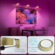 4 Pack Gold Picture Lights for Wall Battery Operated, 12 RGB Color Changing LED Wall Art Light, Magnetic Painting Light with Remote Control, Gallery Lights Photo Sconce for Art Display Frame