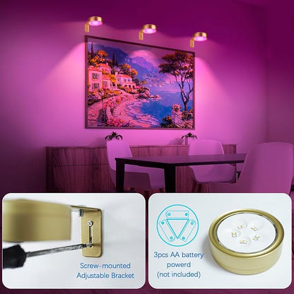 2 Pack Gold Picture Lights for Wall Battery Operated, 12 RGB Color Changing Led Wall Art Light, Magnetic Painting Light with Remote Control, Art Gallery Lights Photo Sconce for Art Display