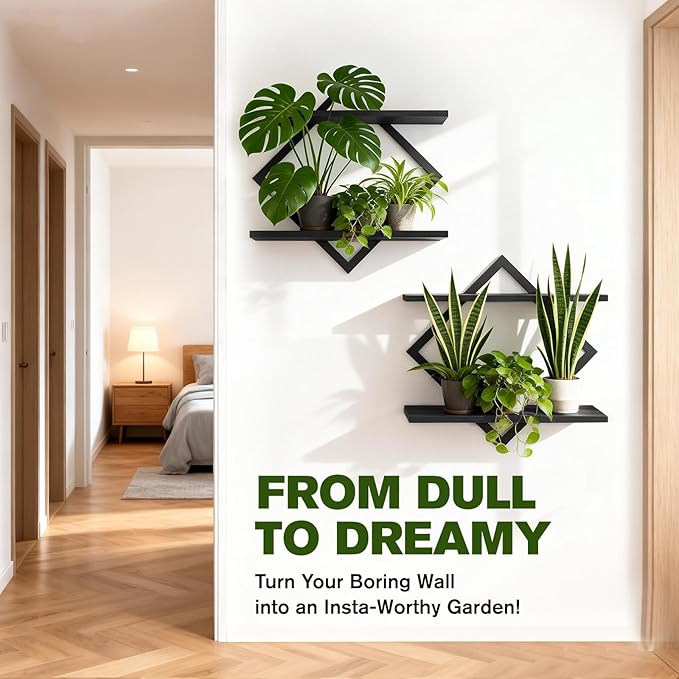 Set of 2 Wall Plant Holder Wall Planters for Indoor Plants Window Plant Shelves Plant Stand Indoor Floating Wall Shelves for Plant Hanger Indoor for Plants, Books, Photos wall Decor (Black)