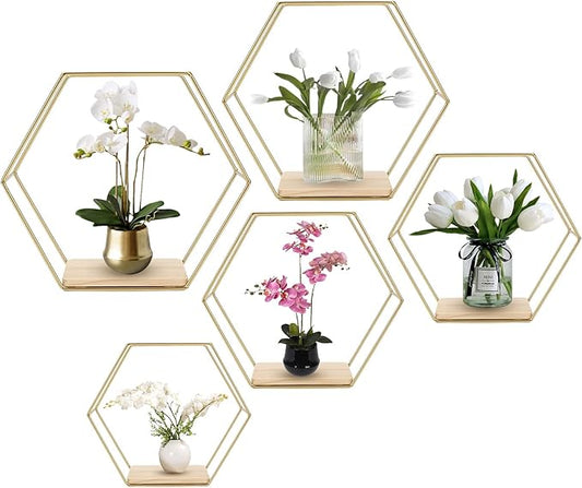 Wall Mounted Hexagonal Floating Shelves Set of 5 in Different Sizes, Modern Metal Shelf, Simple Wood Partition Storage Shelves, Gold Decor Rack for Bedroom, Living Room, Kitchen and Office
