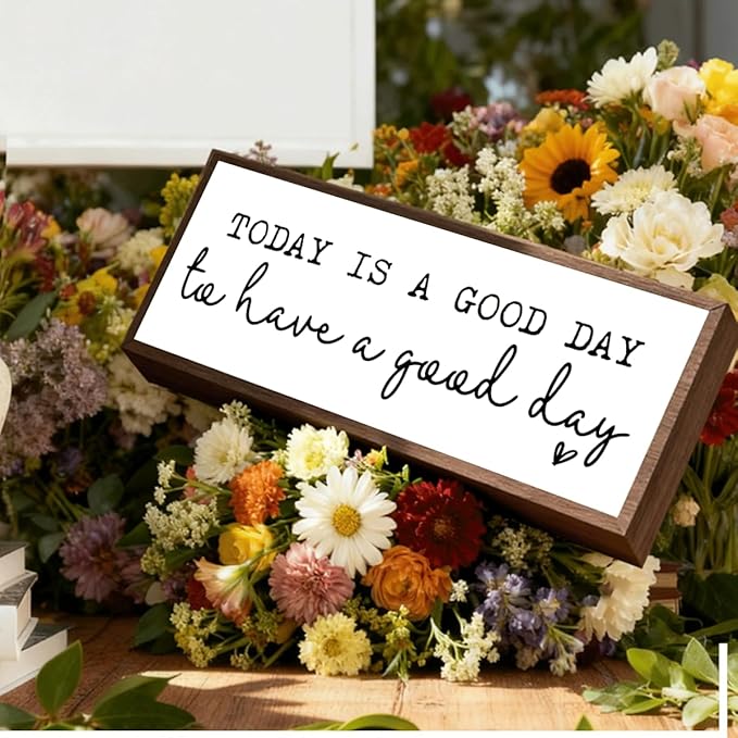 Today is A Good Day to Have A Good Day Sign, Inspirational Wood Signs, Farmhouse Framed Sign Decor, Motivational Home Office Decor, Living Room Decoration, Housewarming Gift