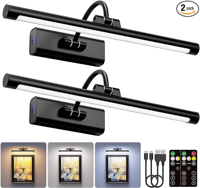 2 Pack Picture Lights for Wall 6000mAh - 16