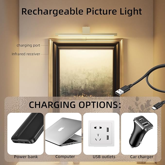 Picture Lights for Wall,Battery Operated Art Light,16in Gallery Light for Paintings,3CCT Dimmable,Metal Finish Recharging Battery Wall Light with Remote Control for Living Room Gallery(Gold)