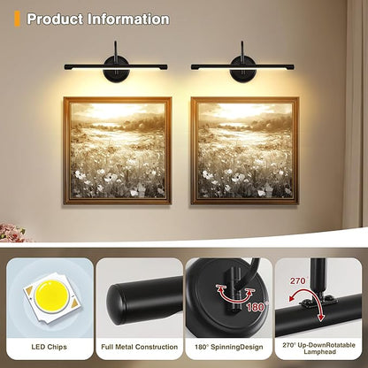 JOOSENLUX LED Picture Light Hardwired Matte Black Modern Picture Lights for Paintings 16.54'' Inch Long Swing Arm Metal Art Lights Warm White 3000K