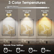 Picture Lights for Wall, 3 Lighting Modes Magnetic Art Display Light,Battery Operated Led Painting Light with Remote Control Dimmable & Timer,3Pack Gold