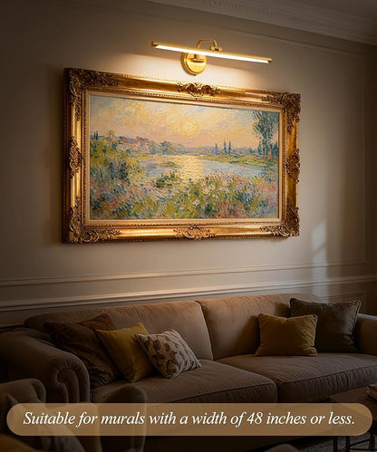 Hardwired Picture Light for Wall, 24 Inch Modern Brass Dimmable Frame Light with Adjustable Swing Arm, 3CCT LED Art Display Light for Paintings,120 Volts Gallery Wall Light, Hallway Vanity Light, 8W