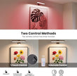 Picture Lights for Wall Battery Operated Black Wireless Art Light for Paintings, Rechargeable Display Lighting for Picture with Remote Control, RGB Poster Lights for Frame, Gallery, Portraits, 2 Pack