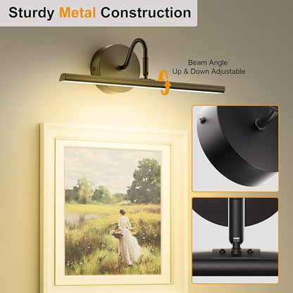 Hardwired Picture Lights for Wall 23.9" Dimmable 3CCT Frame Lights for Wall with Remote, 15W Gallery Artwork Light for Paintings Poster, 2700K-6500K Warm Nature White, 1200LM, Black