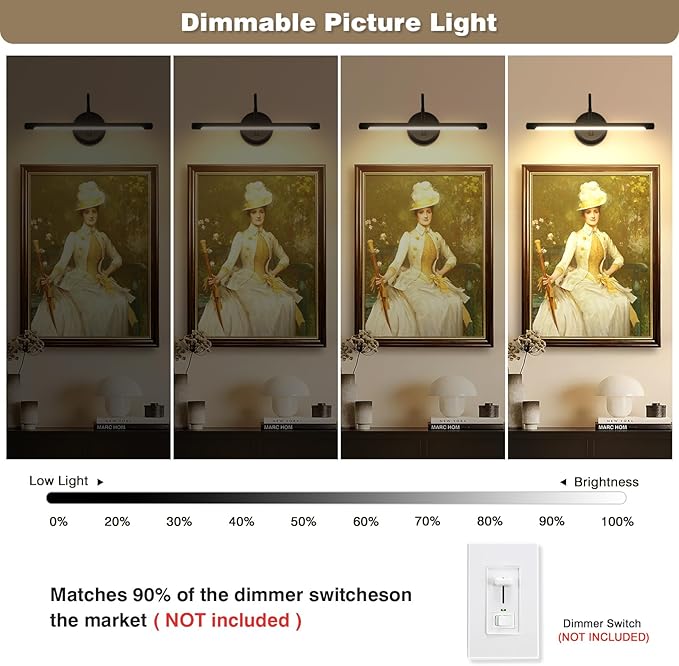 JOOSENLUX Picture Lights for Paintings Hardwired 16.5