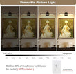 JOOSENLUX Picture Lights for Paintings Hardwired 16.5