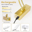 2 Pack Picture Light Battery Operated for Wall, 16