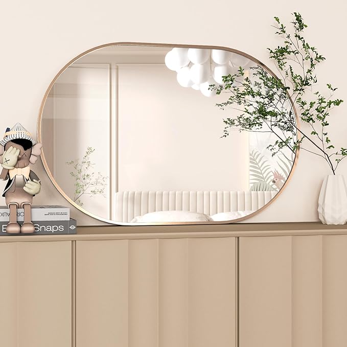 Oval Bathroom Mirror Capsule Wall Vanity Mirror, 24